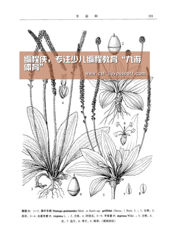 编程侠,专注少儿编程教育“九游体育”(图1) 九游体育