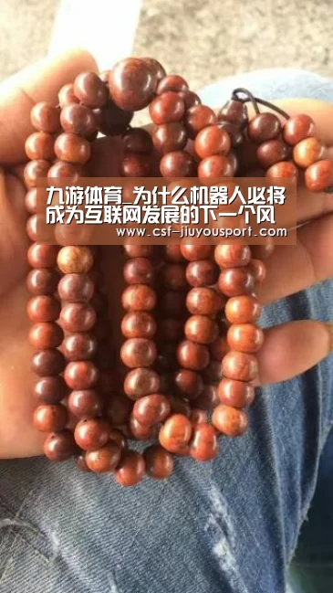 九游体育_为什么机器人必将成为互联网发展的下一个风口(图1) 九游体育