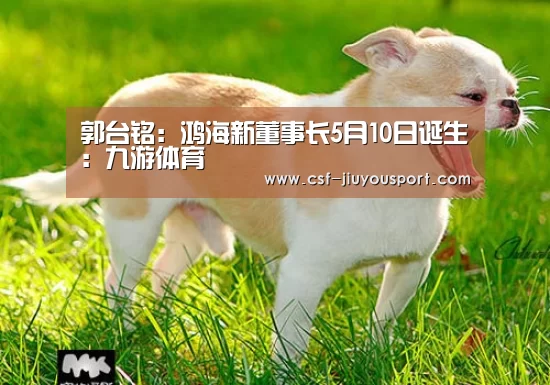 郭台铭:鸿海新董事长5月10日诞生:九游体育(图1) 九游体育
