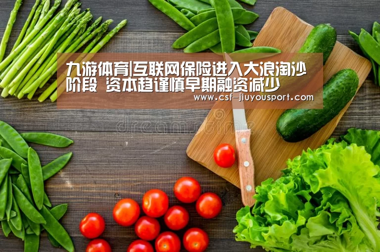 九游体育|互联网保险进入大浪淘沙阶段 资本趋谨慎早期融资减少(图2) 九游体育