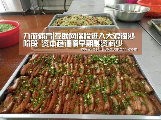 九游体育|互联网保险进入大浪淘沙阶段 资本趋谨慎早期融资减少(图1) 九游体育