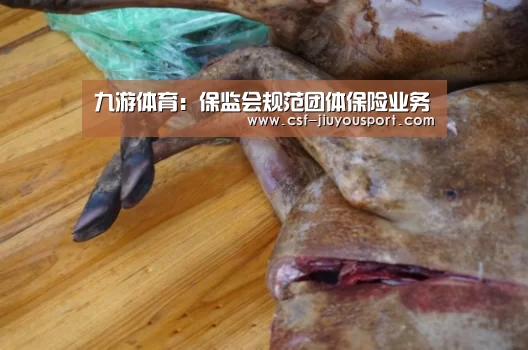 九游体育:保监会规范团体保险业务(图1) 九游体育
