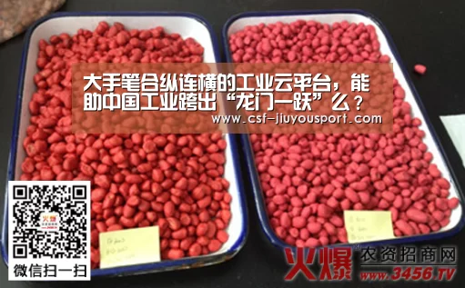 大手笔合纵连横的工业云平台,能助中国工业跨出“龙门一跃”么?【九游体育】(图2) 九游体育