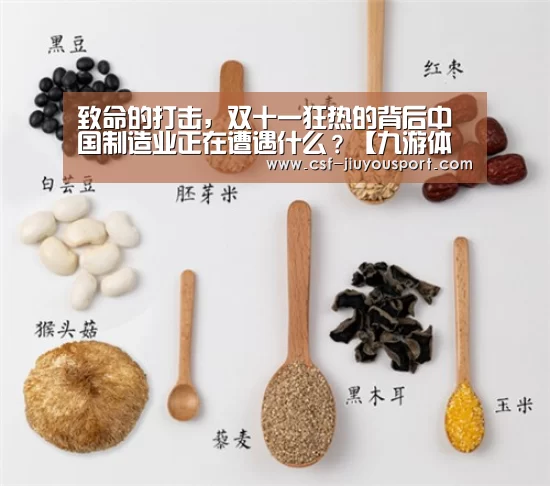 致命的打击,双十一狂热的背后中国制造业正在遭遇什么?【九游体育】(图2) 九游体育