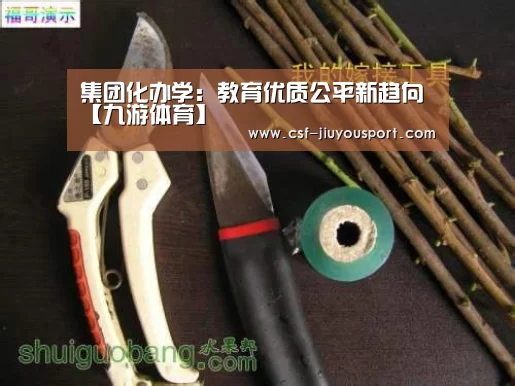 集团化办学:教育优质公平新趋向【九游体育】(图2) 九游体育